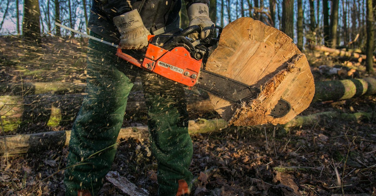 Loud tools like chainsaws contribute to worker hearing loss