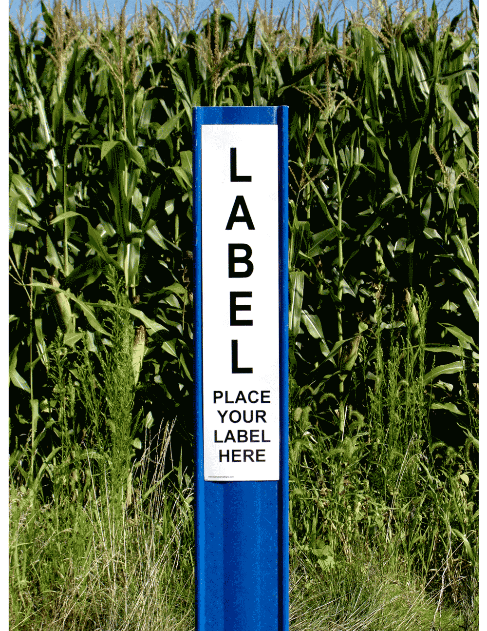 Blue Utility Marking Post Post-Utility-Blue