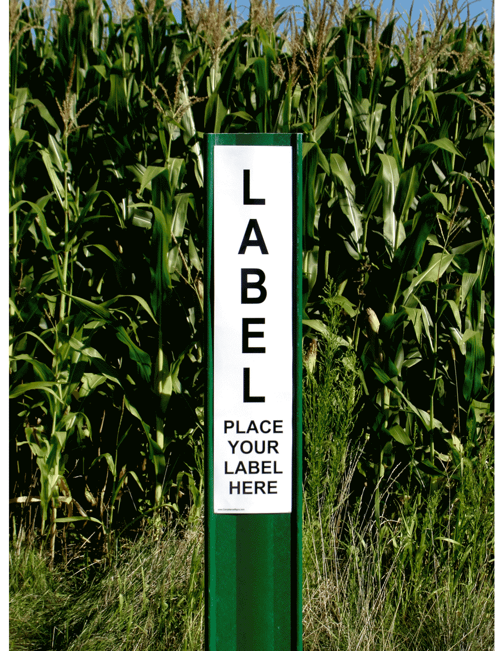 Green Utility Marking Post Post-Utility-Green