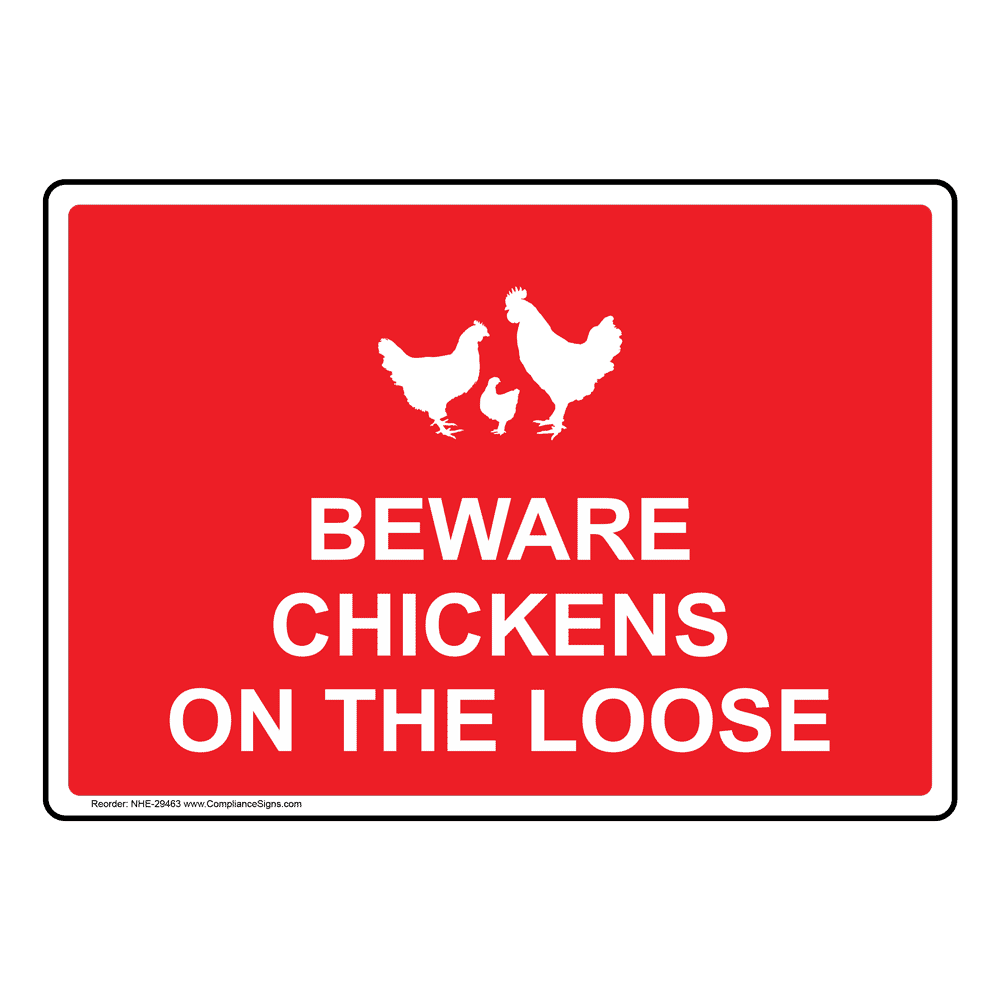 Beware Of The Chickens Beware Chickens On The Loose Sign With Symbol NHE-29463