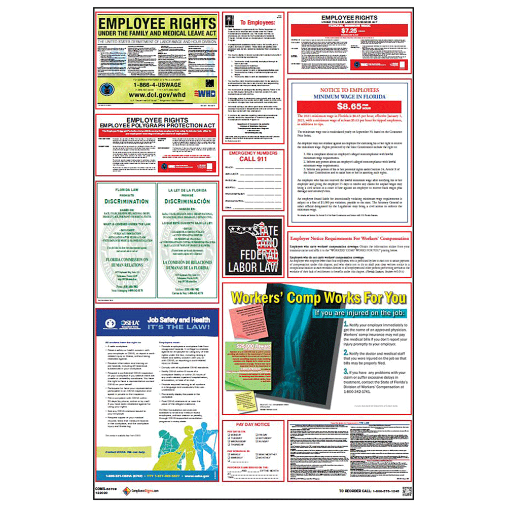 Labor Laws Poster Florida Federal OSHA English