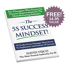 FREE! 5S Success Mindset Book